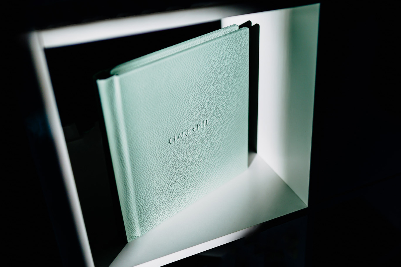 An artistic photograph of a leather wedding album