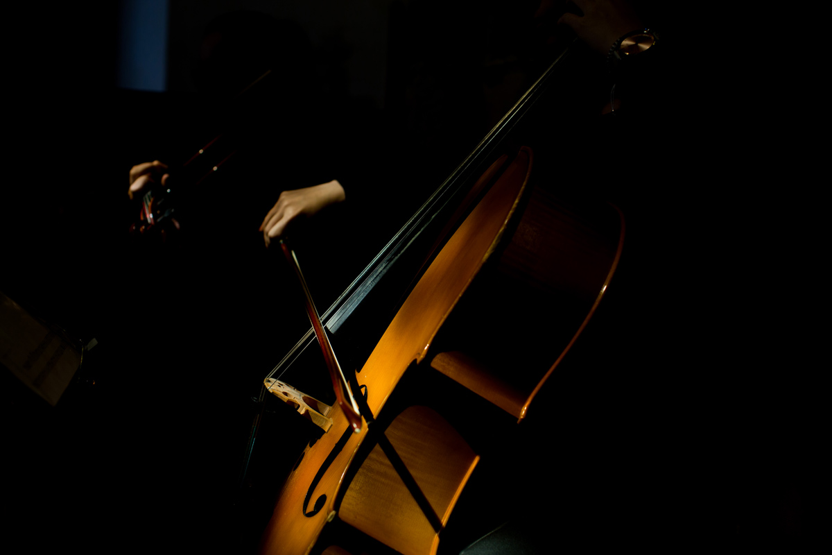 musicians at a wedding