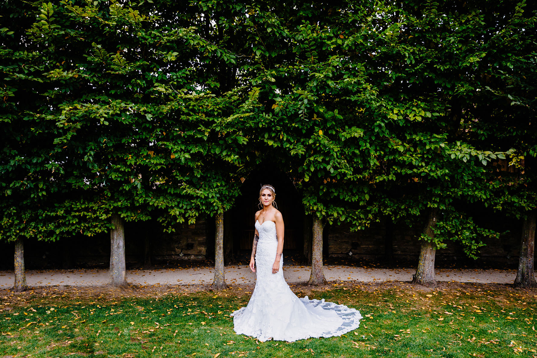 a bride and a beautiful dress